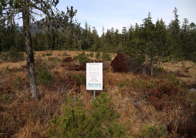 5th image of L11 Olsen Subdivision, Petersburg, AK 99833 | MLS# 14-15728