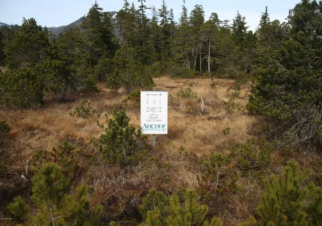 5th image of L12 Olsen Subdivision, Petersburg, AK 99833 | MLS# 14-15730