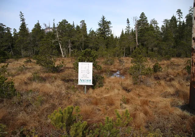 5th image of L13 Olsen Subdivision, Petersburg, AK 99833 | MLS# 14-15719