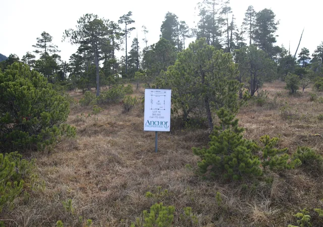 5th image of L16 Olsen Subdivision, Petersburg, AK 99833 | MLS# 14-15722