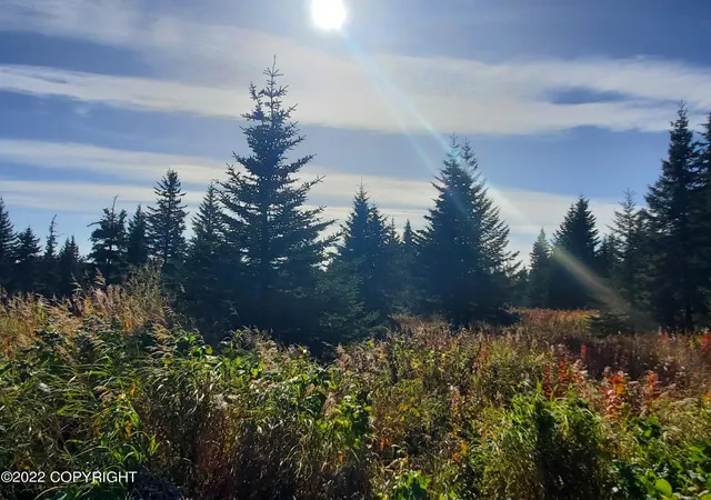 Photo 3 of Land for sale at 67761 Shavila Rd, Ninilchik, AK 99639 | MLS# 22-13494 | Listing updated on 2026-10-05