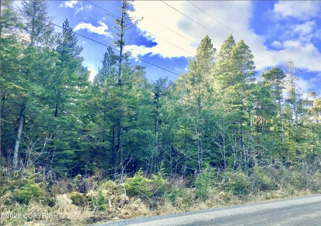 3rd image of 601 Se Fawn Dr, Coffman Cove, AK 99918 | MLS# 23-7368