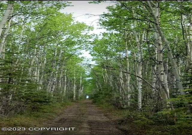 Photo 1 of Land for sale at 0000 No Road (near Rexana Rd), Clear, AK 99000 | MLS# 23-11565 | Listing updated on 2025-06-01