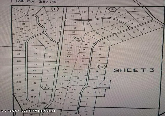 Photo 3 of Land for sale at 0000 No Road (Near Rexana Rd), Clear, AK 99000 | MLS# 23-11565 | Listing updated on 2025-06-01