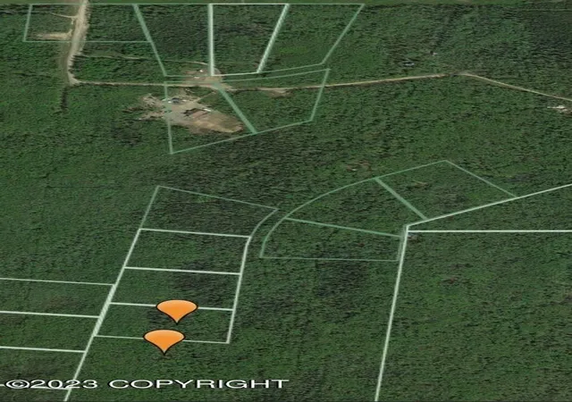 Photo 5 of Land for sale at 0000 No Road (Near Rexana Rd), Clear, AK 99000 | MLS# 23-11565 | Listing updated on 2025-06-01