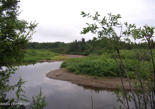 Homes for sale in Skwentna, AK | 000 No Road Alexander Creek, Skwentna, AK 99688 | MLS# 24-1835