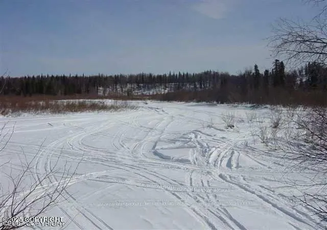 Homes for sale in Skwentna, AK | 000 No Road Alexander Creek, Skwentna, AK 99688 | MLS# 24-1835