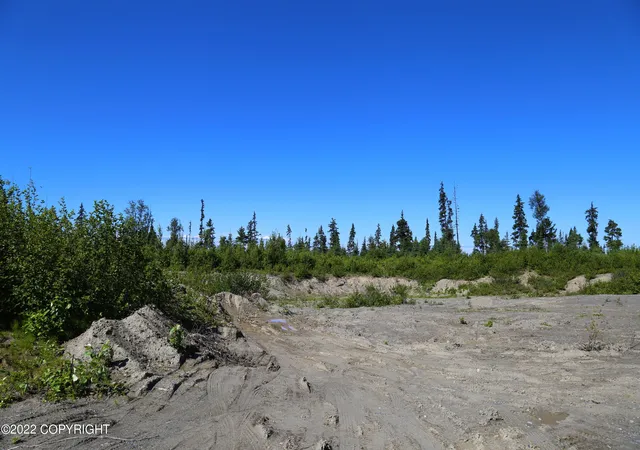 Homes for sale in Nikolaevsk, AK | D23 Alaskan Wildwood Ranch(R), Nikolaevsk, AK 99556 | MLS# 24-1547