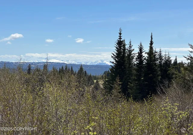 Homes for sale in Anchor Point, AK | 63687 Inez Ave, Anchor Point, AK 99556 | MLS# 24-1956