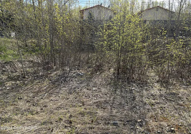 Photo 1 of Land for sale at 115 Grand Larry St, Anchorage, AK 99504 | MLS# 24-4797 | Listing updated on 2026-07-02