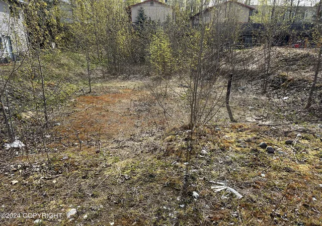 Photo 2 of Land for sale at 115 Grand Larry St, Anchorage, AK 99504 | MLS# 24-4797 | Listing updated on 2026-07-02