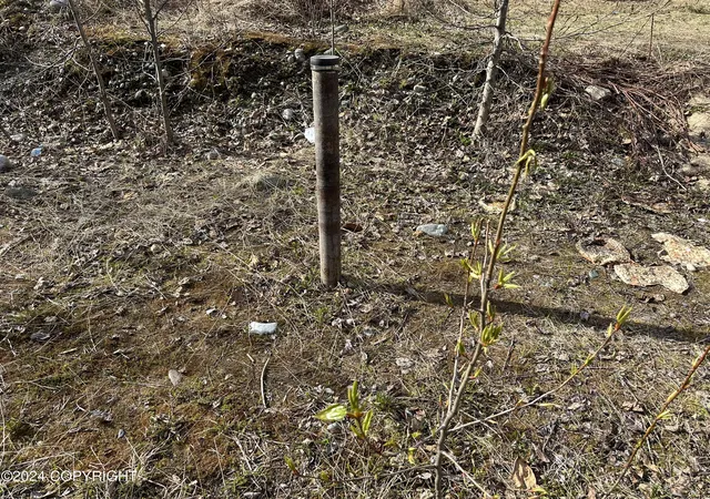 Photo 2 of Land for sale at 115 Grand Larry St, Anchorage, AK 99504 | MLS# 24-4797 | Listing updated on 2026-07-02