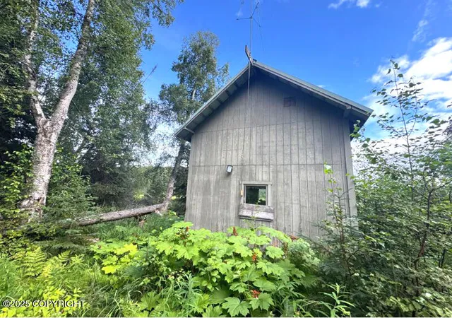 Homes for sale in Skwentna, AK | Tr A-B Bee Jay Lake, Skwentna, AK 99688 | MLS# 24-8353