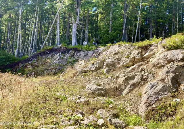 20th image of L6b7 Coffman Cove, Coffman Cove, AK 99918 | MLS# 24-10913