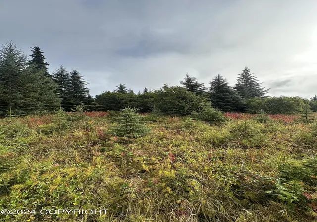 Photo 5 of Land for sale at 68395 Kensington Ave, Ninilchik, AK 99639 | MLS# 24-11942 | Listing updated on 2026-08-21