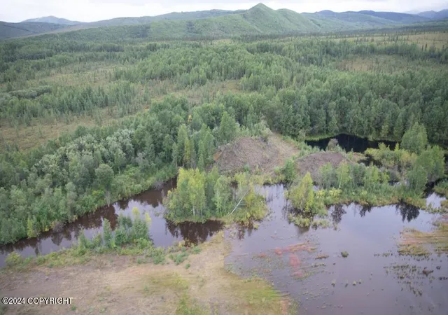 Photo 3 of Land for sale at 000 No Rd #NO, Healy, AK 99743 | MLS# 24-12082 | Listing updated on 2025-11-19