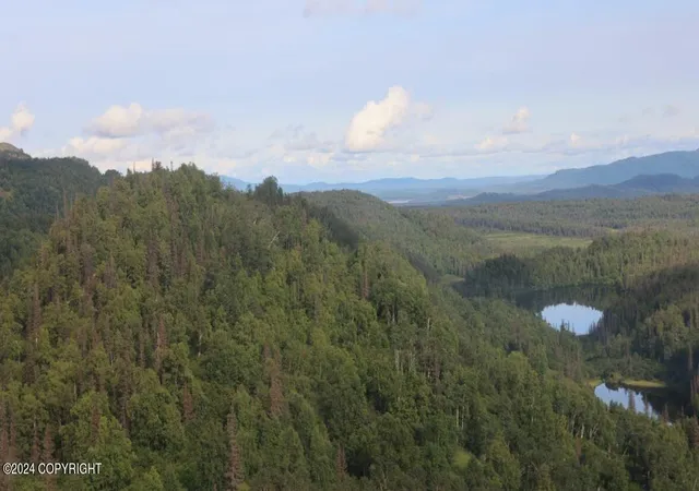 Photo 99 of Land for sale at 000 No Rd #NO, Healy, AK 99743 | MLS# 24-12082 | Listing updated on 2025-11-19