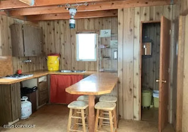 Homes for sale in Remote, AK | Nhn Shell Lake, Remote, AK 99667 | MLS# 24-12915