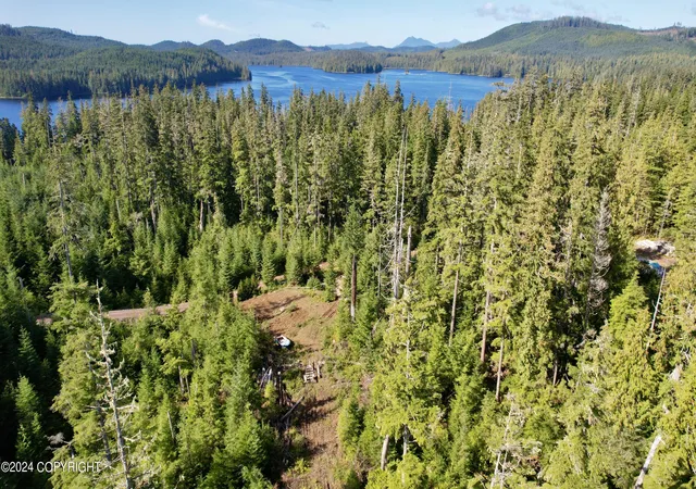 Photo 12 of Land for sale at L5b4 Gutchi Cvs, Naukati Bay, AK 99000 | MLS# 24-12747 | Listing updated on 2026-08-28