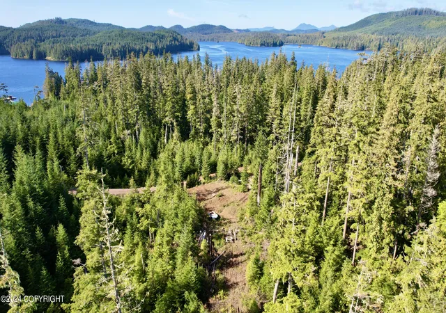 Photo 1 of Land for sale at L5b4 Gutchi Cvs, Naukati Bay, AK 99000 | MLS# 24-12747 | Listing updated on 2026-08-28