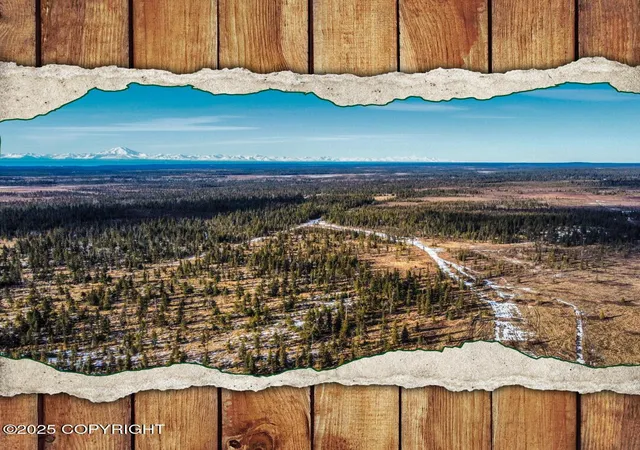 Homes for sale in Anchor Point, AK | 33790 Handcart Rd, Anchor Point, AK 99556 | MLS# 24-14462
