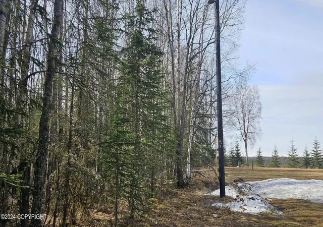 Homes for sale in Kenai, AK | 5263 Kenai Spur Hwy, Kenai, AK 99611 | MLS# 25-1109