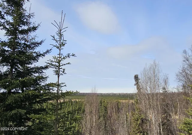 Homes for sale in Kenai, AK | 5263 Kenai Spur Hwy, Kenai, AK 99611 | MLS# 25-1109
