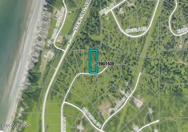 Homes for sale in Ninilchik, AK | 17509 Chefornak St, Ninilchik, AK 99639 | MLS# 25-1097
