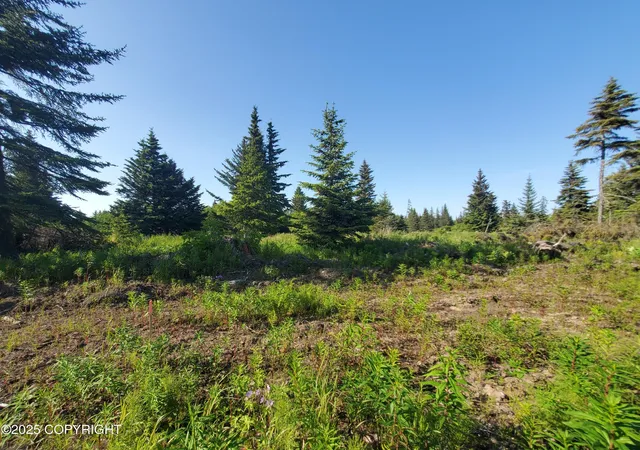 Homes for sale in Ninilchik, AK | 17561 Chefornak St, Ninilchik, AK 99639 | MLS# 25-1171