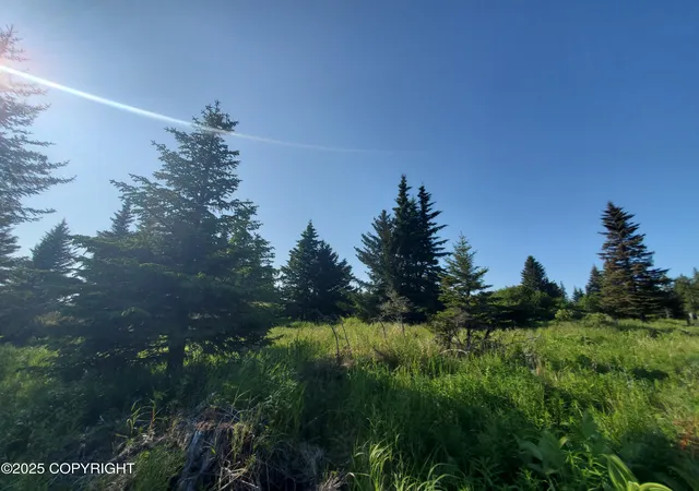 Homes for sale in Ninilchik, AK | 17561 Chefornak St, Ninilchik, AK 99639 | MLS# 25-1171
