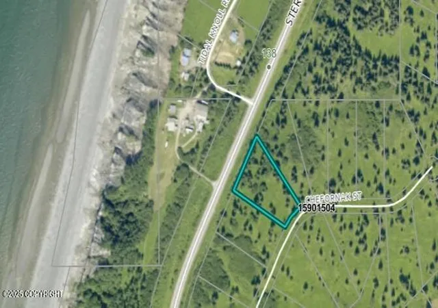 Homes for sale in Ninilchik, AK | 17589 Chefornak St, Ninilchik, AK 99639 | MLS# 25-1301