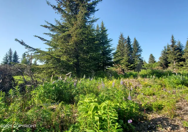 Homes for sale in Ninilchik, AK | 17589 Chefornak St, Ninilchik, AK 99639 | MLS# 25-1301