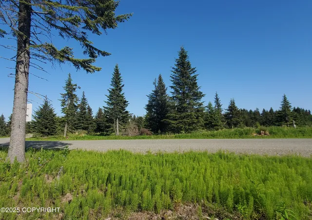 Homes for sale in Ninilchik, AK | 17589 Chefornak St, Ninilchik, AK 99639 | MLS# 25-1301