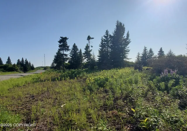 Homes for sale in Ninilchik, AK | 17589 Chefornak St, Ninilchik, AK 99639 | MLS# 25-1301