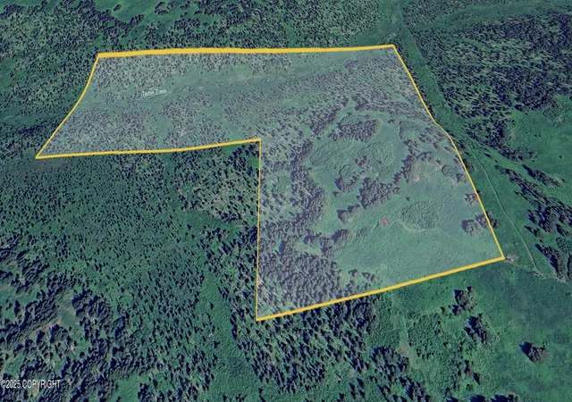 Photo 4 of Land for sale at 0000 Remote, Homer, AK 99603 | MLS# 25-1320 | Listing updated on 2026-08-21