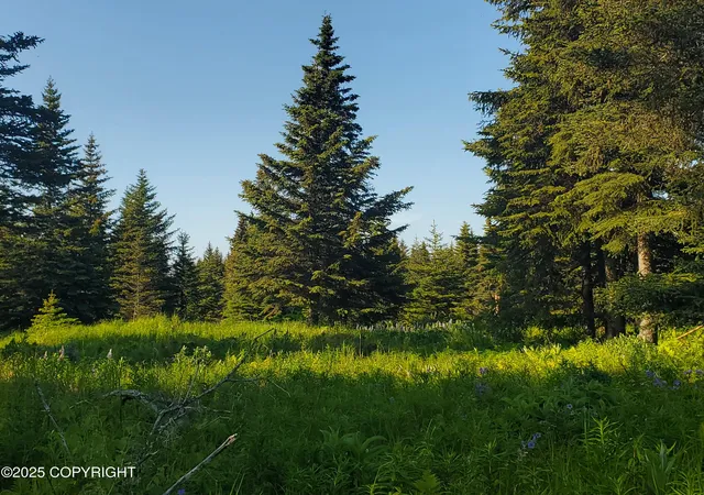 Homes for sale in Ninilchik, AK | 17435 Chefornak St, Ninilchik, AK 99639 | MLS# 25-1524
