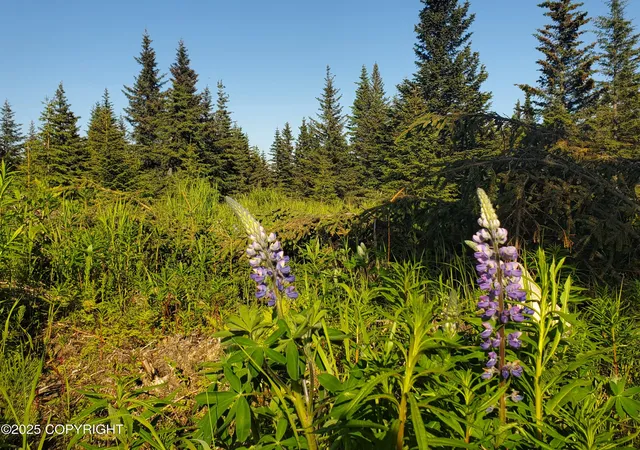 Homes for sale in Ninilchik, AK | 17438 Chefornak St, Ninilchik, AK 99639 | MLS# 25-1436