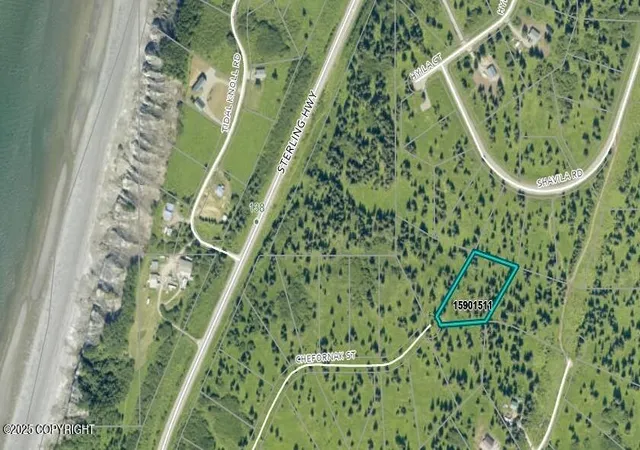 Homes for sale in Ninilchik, AK | 17436 Chefornak St, Ninilchik, AK 99639 | MLS# 25-1453