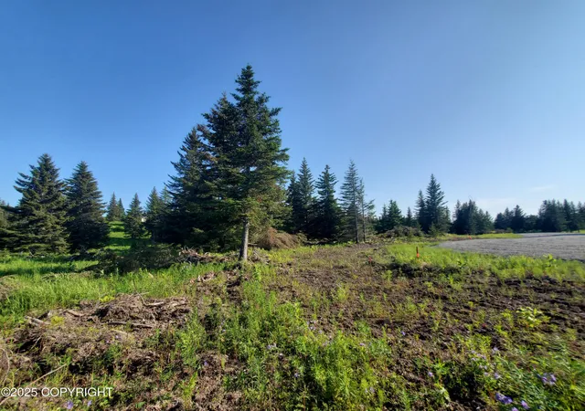 Homes for sale in Ninilchik, AK | 17436 Chefornak St, Ninilchik, AK 99639 | MLS# 25-1453