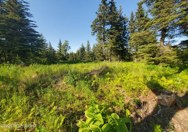 Homes for sale in Ninilchik, AK | 17436 Chefornak St, Ninilchik, AK 99639 | MLS# 25-1453