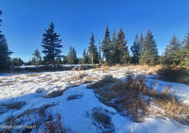 Homes for sale in Ninilchik, AK | 17436 Chefornak St, Ninilchik, AK 99639 | MLS# 25-1453