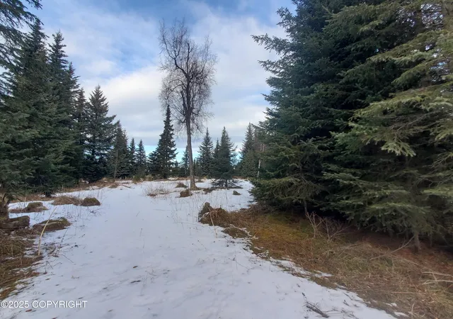 Homes for sale in Ninilchik, AK | 17617 Kimeluk St, Ninilchik, AK 99639 | MLS# 25-1652