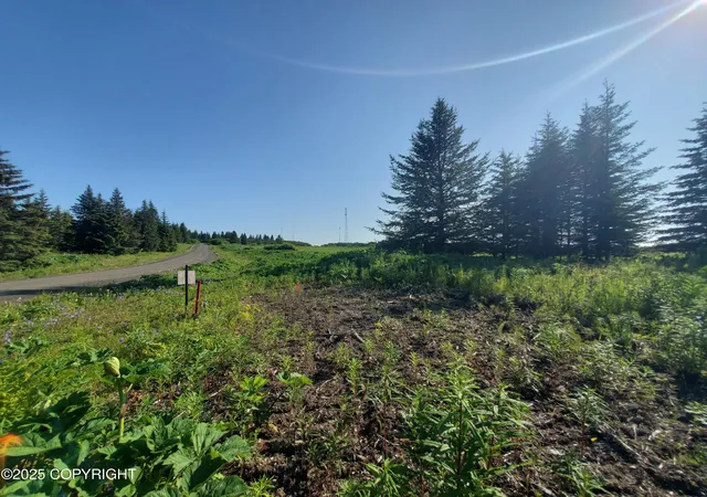 Homes for sale in Ninilchik, AK | 17693 Chefornak St, Ninilchik, AK 99639 | MLS# 25-1650