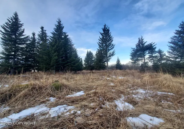 Homes for sale in Ninilchik, AK | 17693 Chefornak St, Ninilchik, AK 99639 | MLS# 25-1650