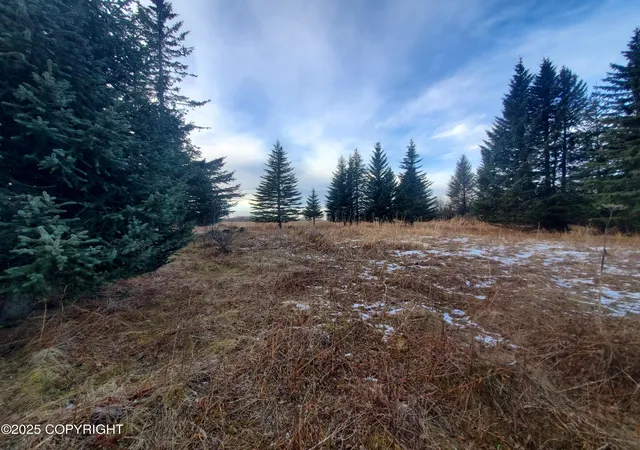 Homes for sale in Ninilchik, AK | 17693 Chefornak St, Ninilchik, AK 99639 | MLS# 25-1650