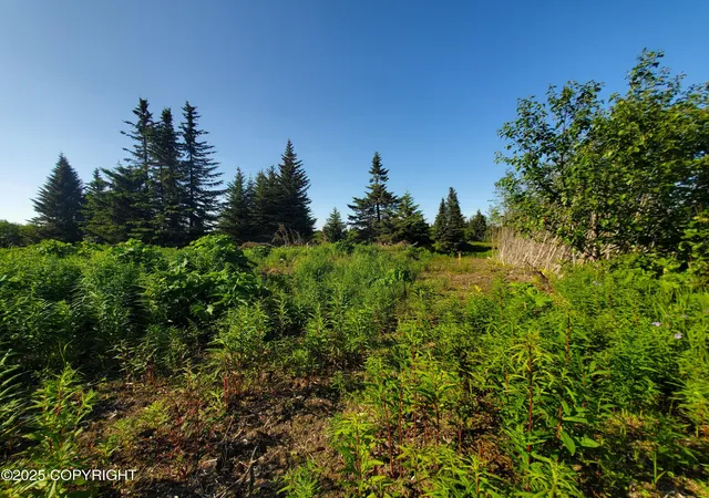 Homes for sale in Ninilchik, AK | 17693 Chefornak St, Ninilchik, AK 99639 | MLS# 25-1650