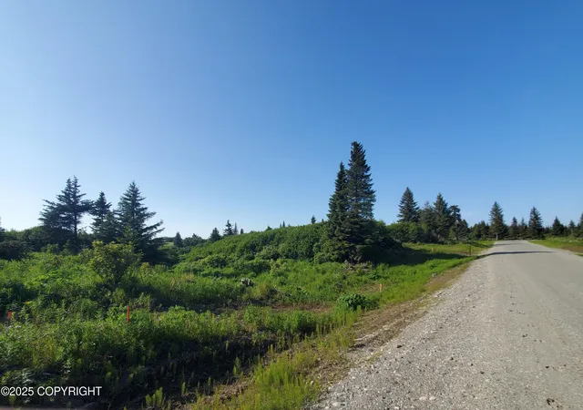 Homes for sale in Ninilchik, AK | 17657 Chefornak St, Ninilchik, AK 99639 | MLS# 25-1651