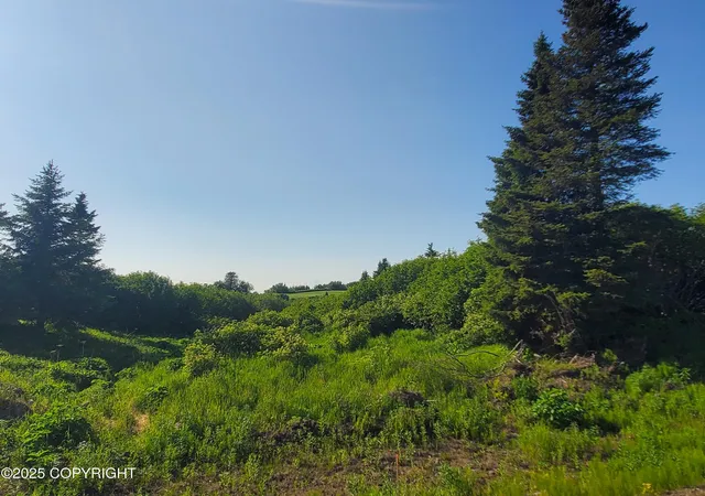 Homes for sale in Ninilchik, AK | 17657 Chefornak St, Ninilchik, AK 99639 | MLS# 25-1651