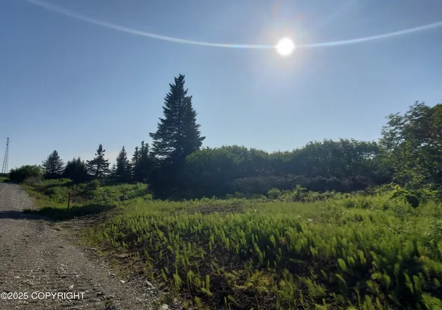 Homes for sale in Ninilchik, AK | 17657 Chefornak St, Ninilchik, AK 99639 | MLS# 25-1651