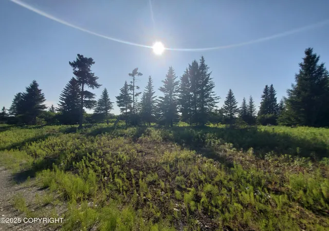 Homes for sale in Ninilchik, AK | 17619 Chefornak St, Ninilchik, AK 99639 | MLS# 25-1568
